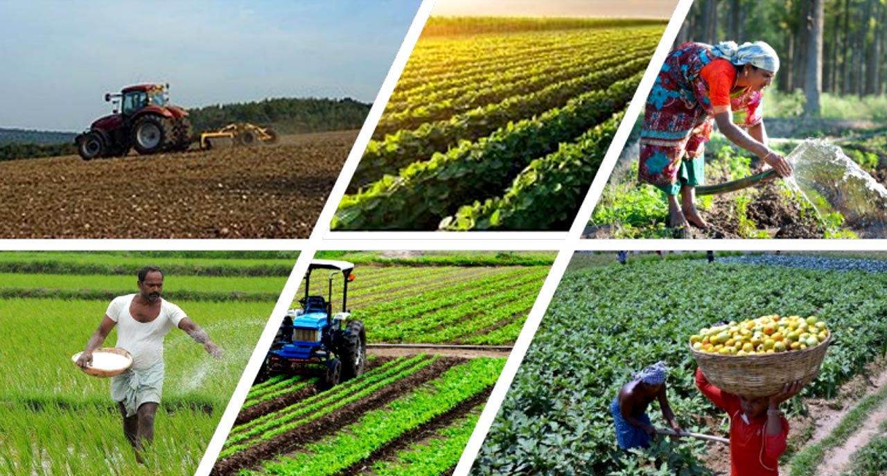 W2W’s Grameen Vikas Picks
